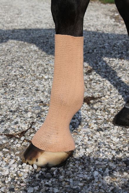 geksox|EquiFit GelSox for Horses .